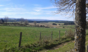 Gîte rural Lou Saltret en Lozère en région Occitanie : vue des alentours